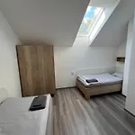 Kopanský Mlýn Penzion 3*