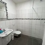 Penzion Kopanský Mlýn Statenice