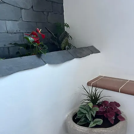 Pensión Kopansky Mlyn 3*